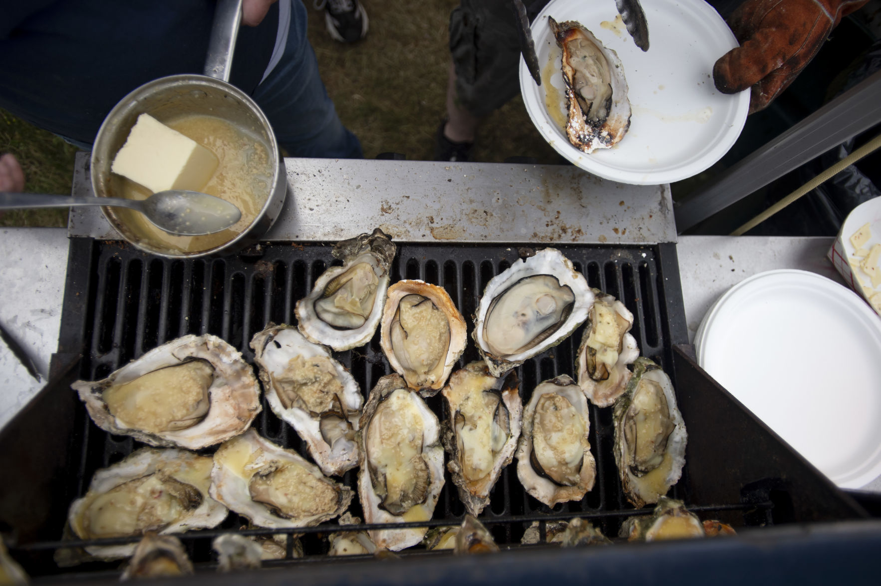 Lakeside Brewfest